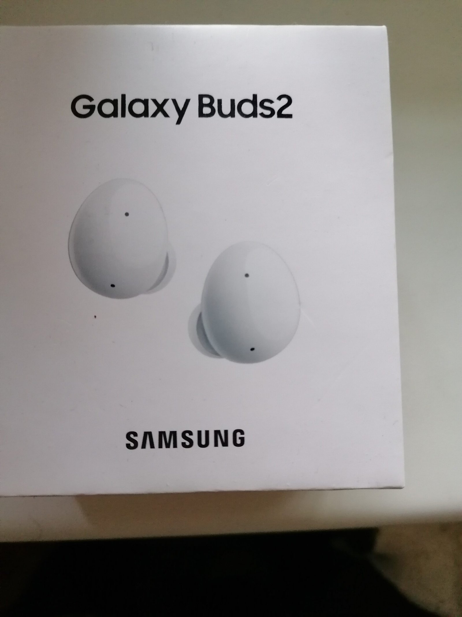 Pamečiau ausines su dėkliuku