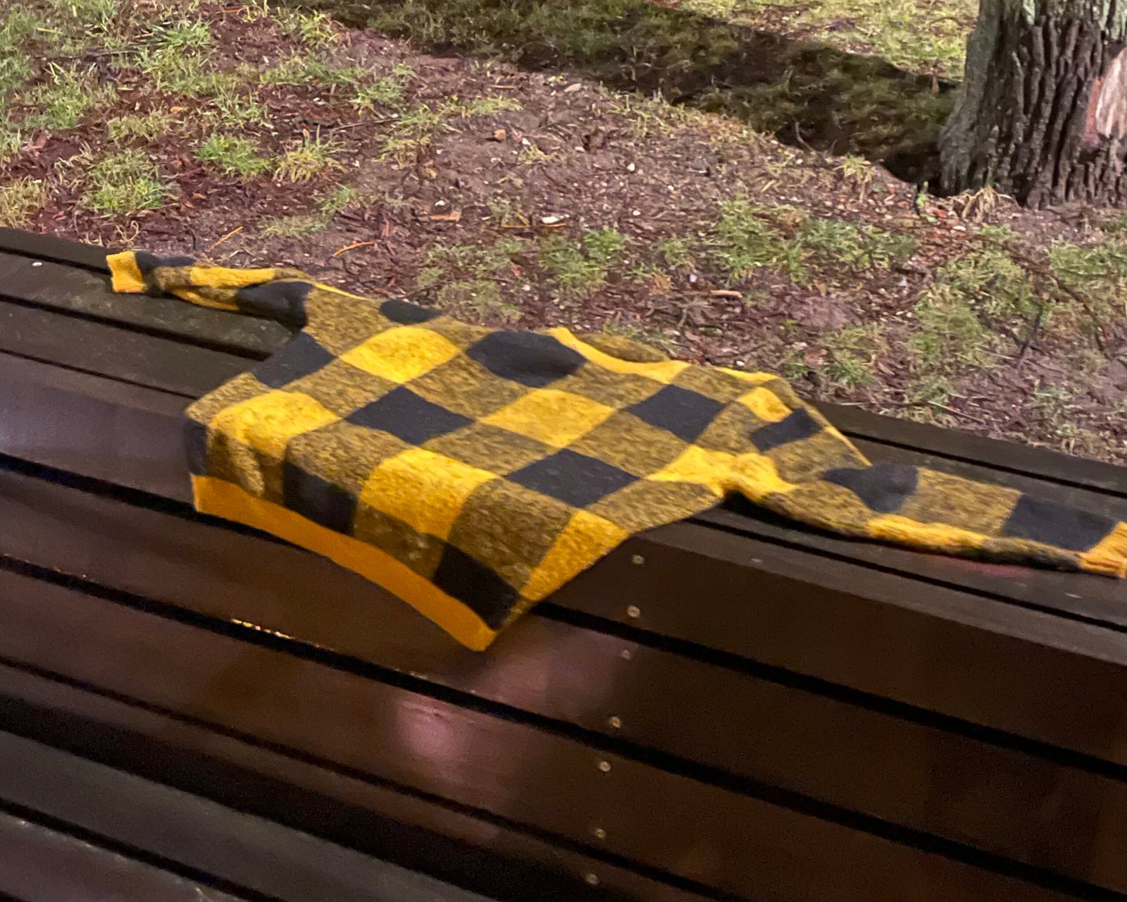 Radau megztinį Danės skvere