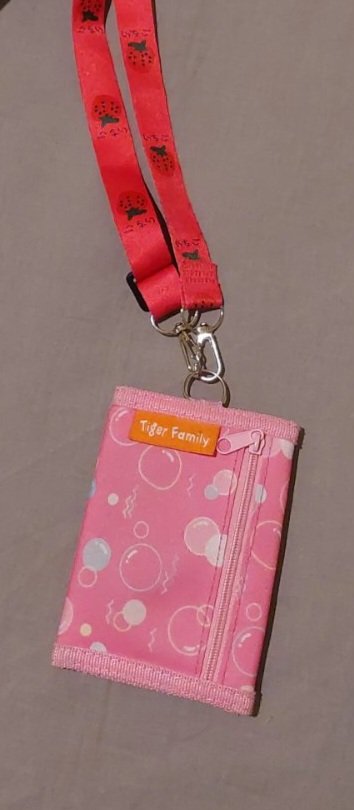 Vaikas pametė piniginę 54 autobuse