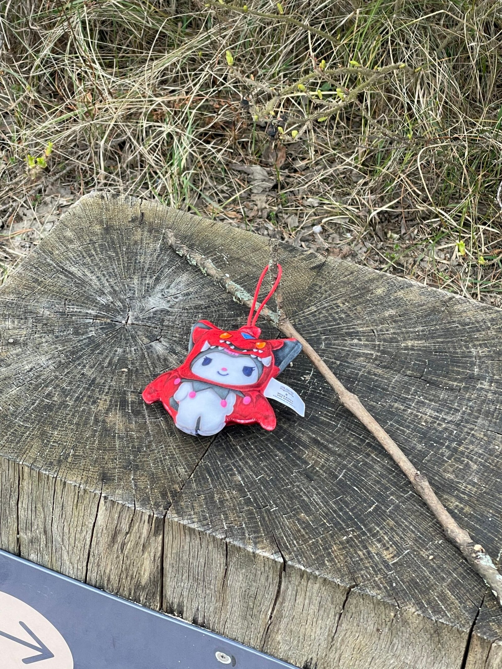 Radau vaikišką žaislą (anime katinėlį) Melnragėje