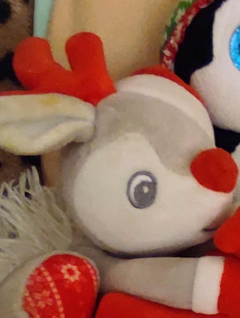 Pamestas minkštas Žaisliukas