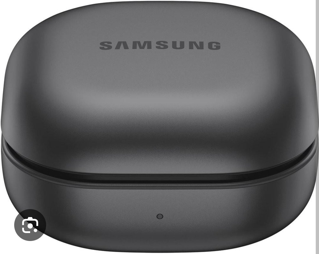 Pamečiau buds 2 ausinių dėklą