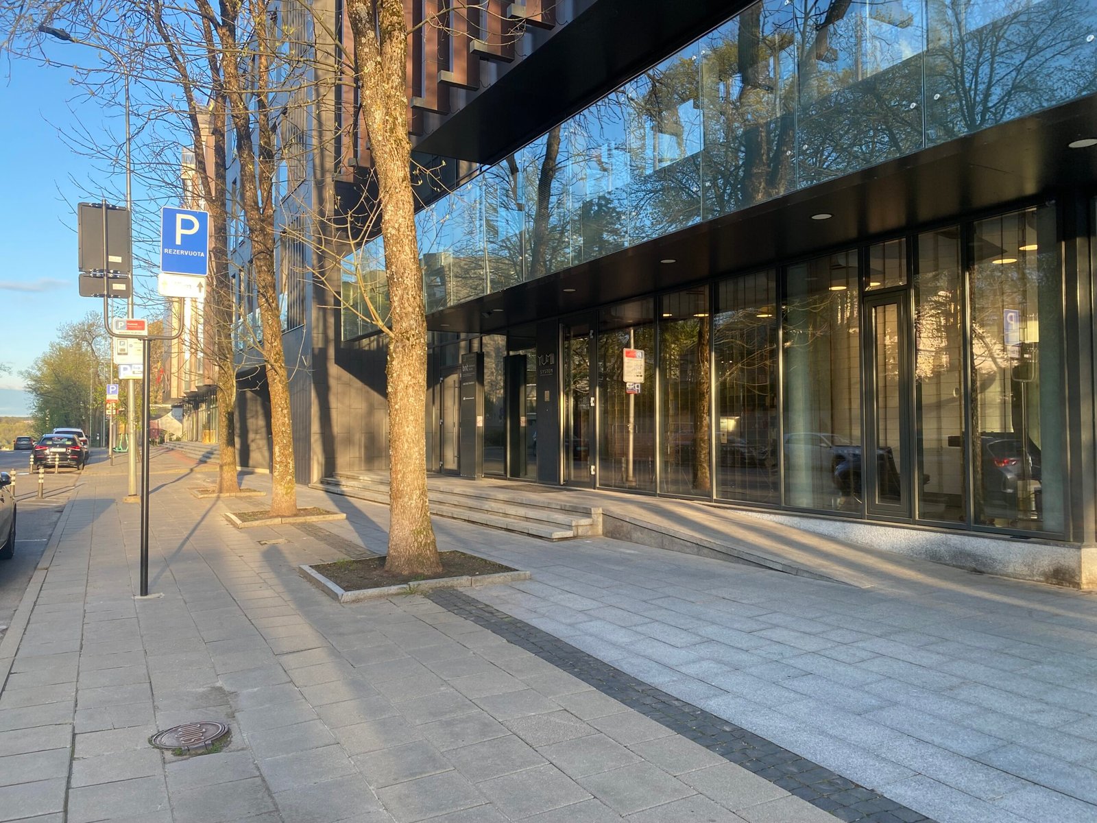 Rastos belaidės ausinės