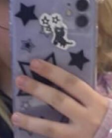 Pamestas telefonas
