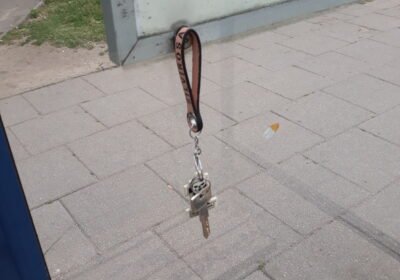 Rastas raktas su Harley Davidson pakabuku