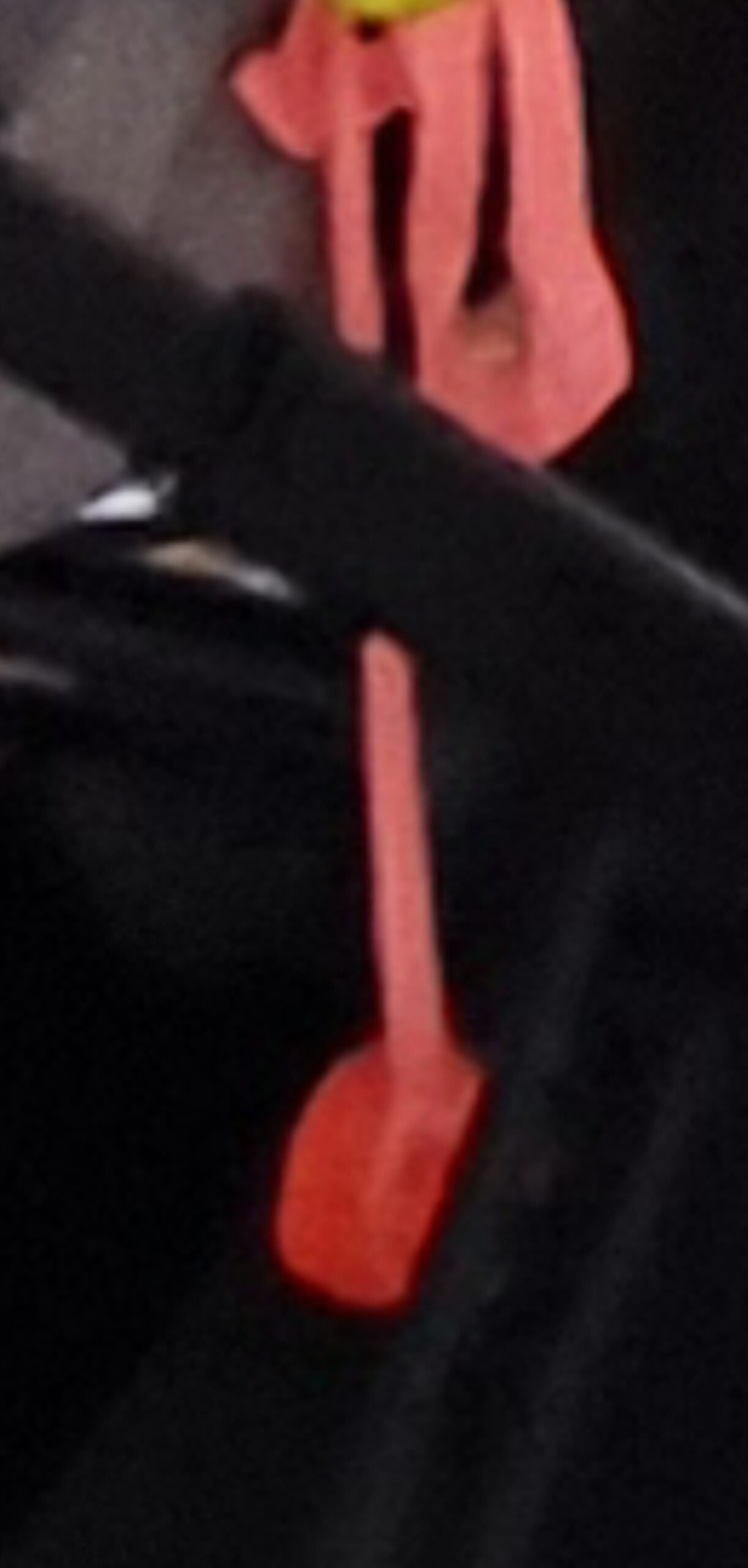 Pamestas oranžinis ančiukas ant rožinės juostelės/pavadėlio