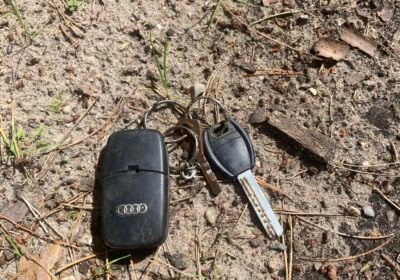 Rasti rakteliai audi