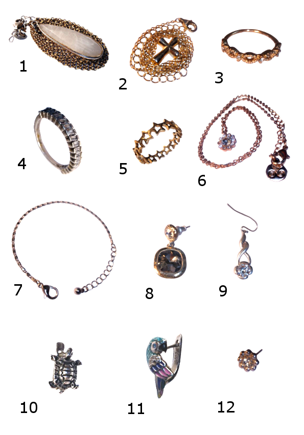 Rasti sie papuosalai(ieskomos savininkes)