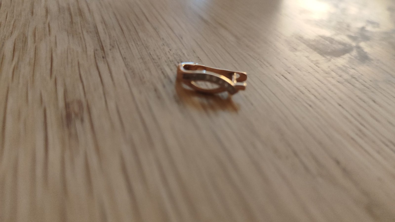 Pamečiau auskarą 2025 04.04