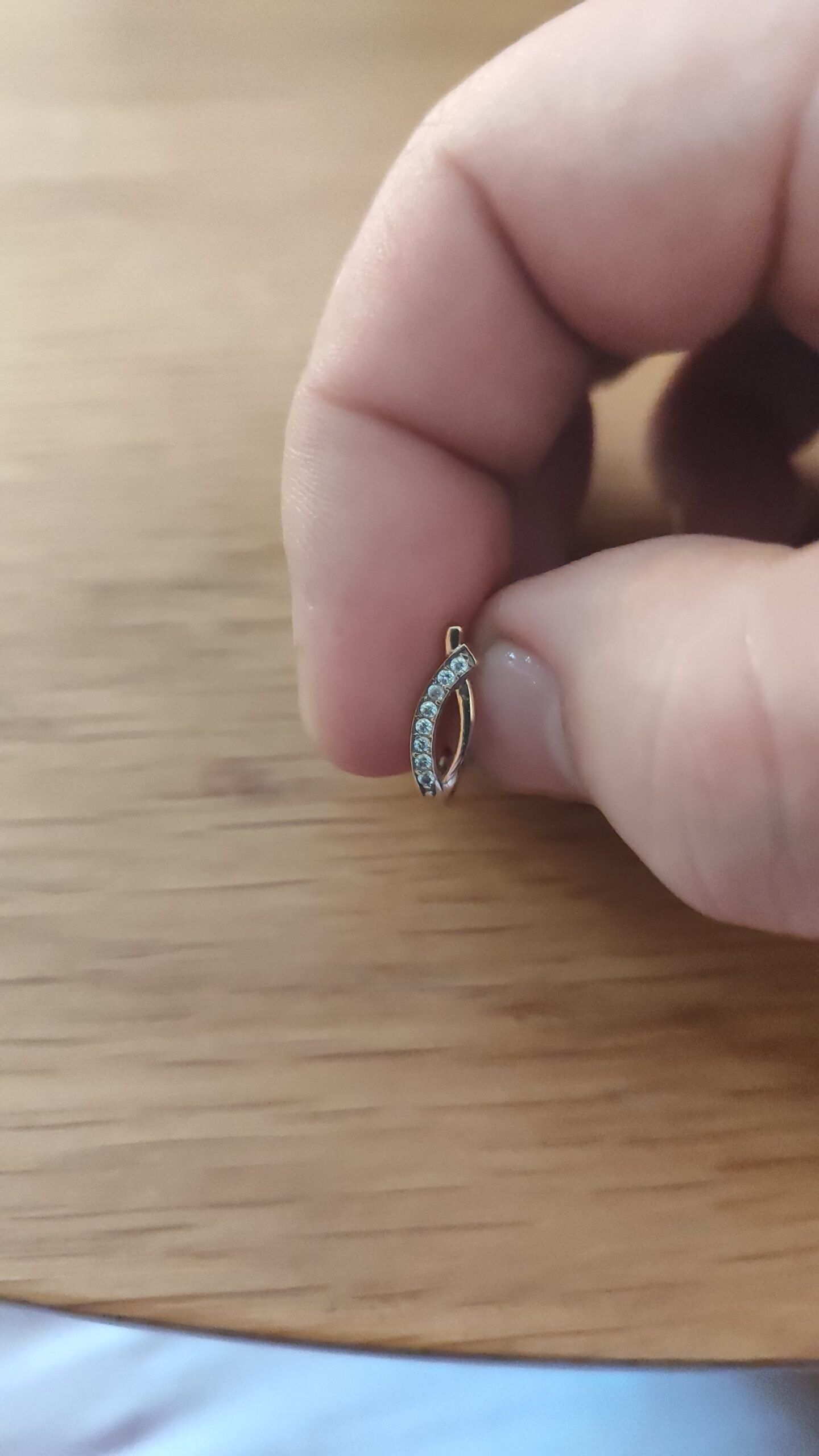 Pamečiau auskarą 2025 04.04