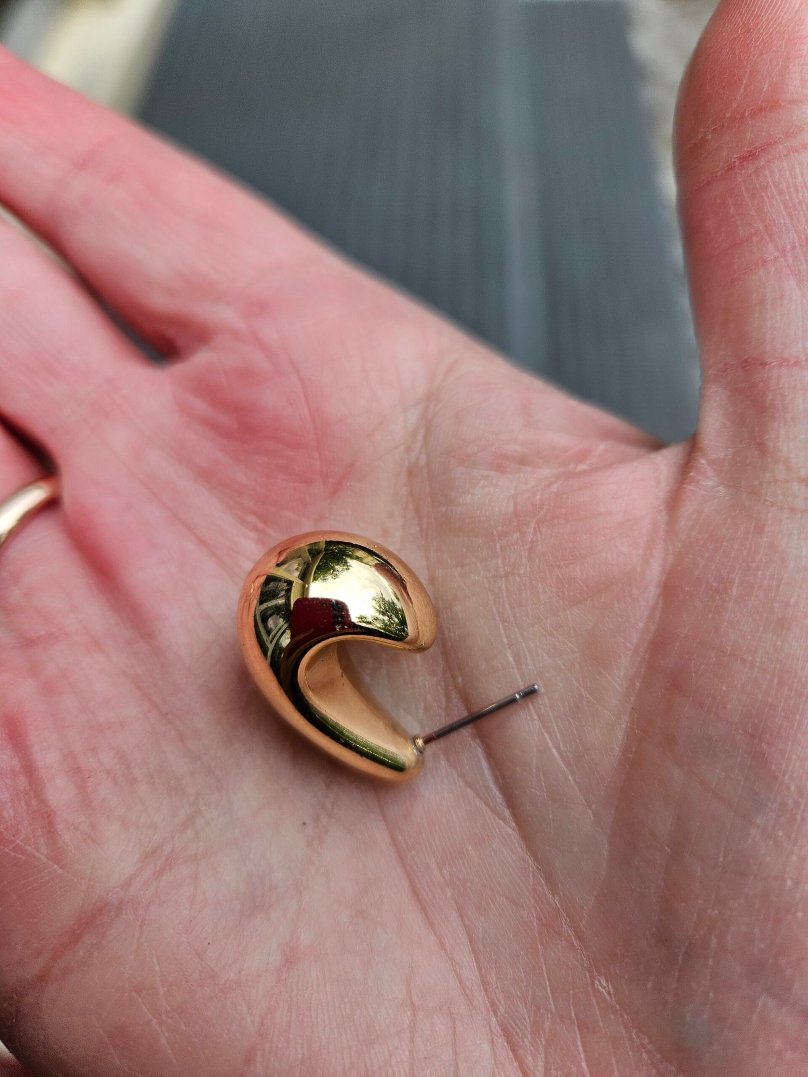 Botanikos sode kaune radau auskarą