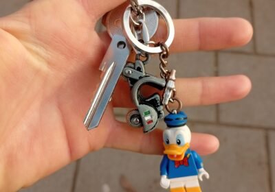 Found keys Skalvių st.