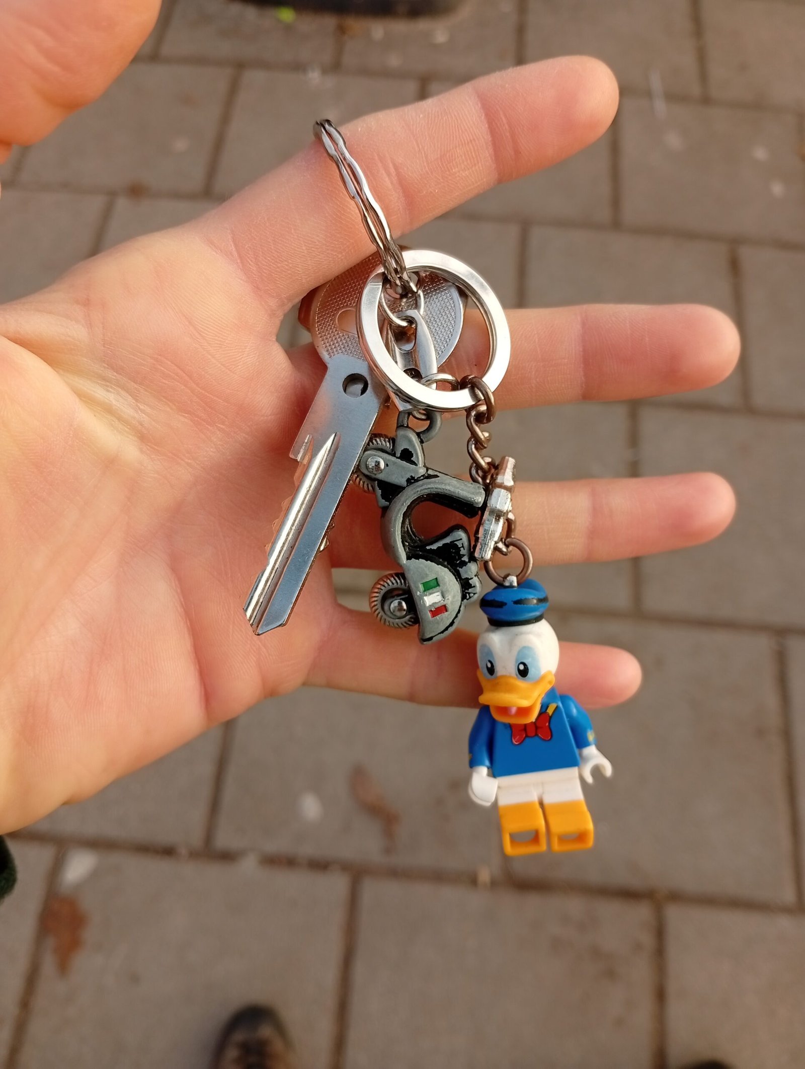 Found keys Skalvių st.