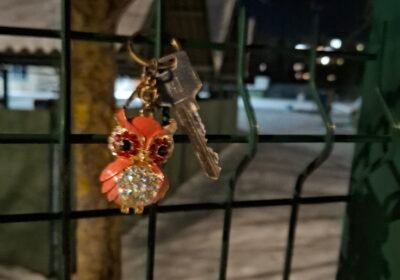 raktas su pelėdos pakabuku