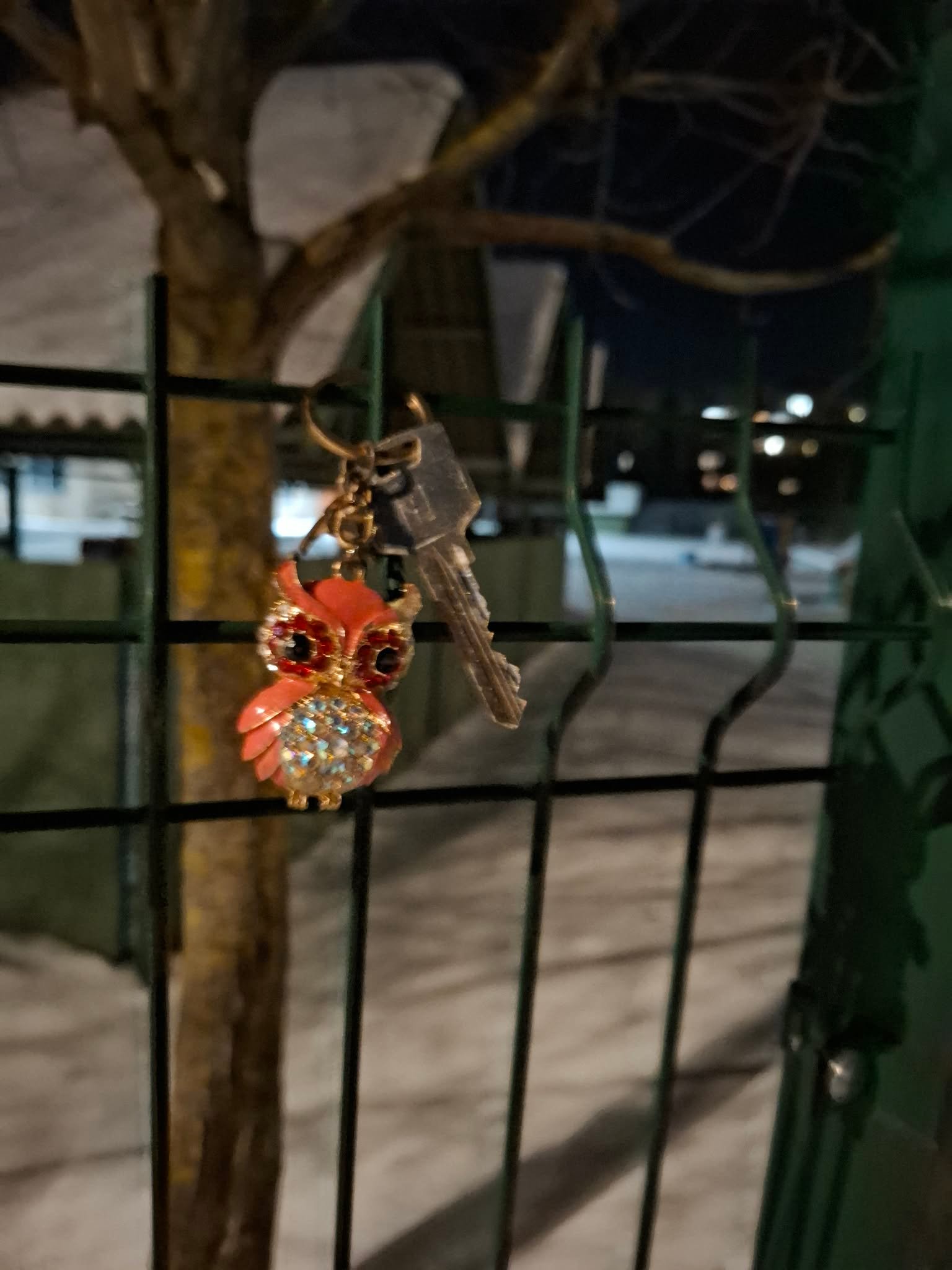 raktas su pelėdos pakabuku