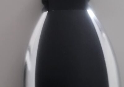 Rastas automobilio raktas