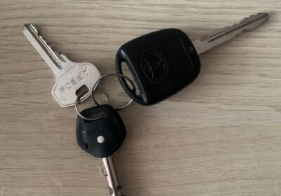 Radau raktus [LAZDYNAI]